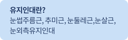 유지인대란? 눈썹주름근,  추미근, 눈둘레근,눈살근, 눈외측유지인대